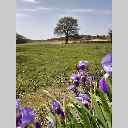 Gite Du Clos Baste Moncaup  外观 照片